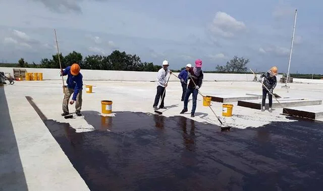 định mức quét Sika Membrane