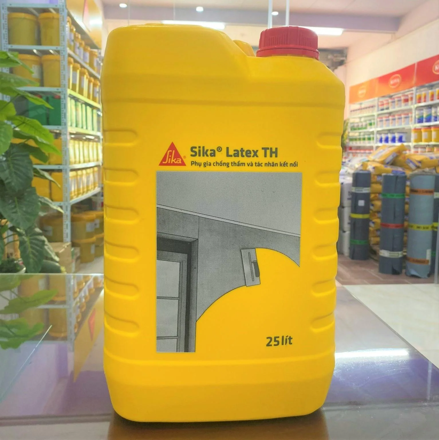 Sika Latex chống thấm Hải Phòng