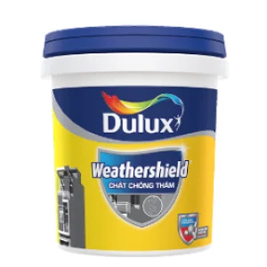 chat-chong-tham-Dulux_Y65_-_20KG_thumb