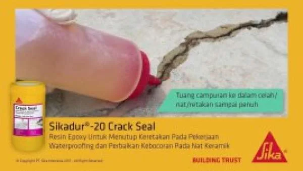 Bán Sikadur-20 Crack Seal tại Hải Phòng
